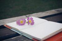 Mein Journal des alltÃ¤glichen Lebens