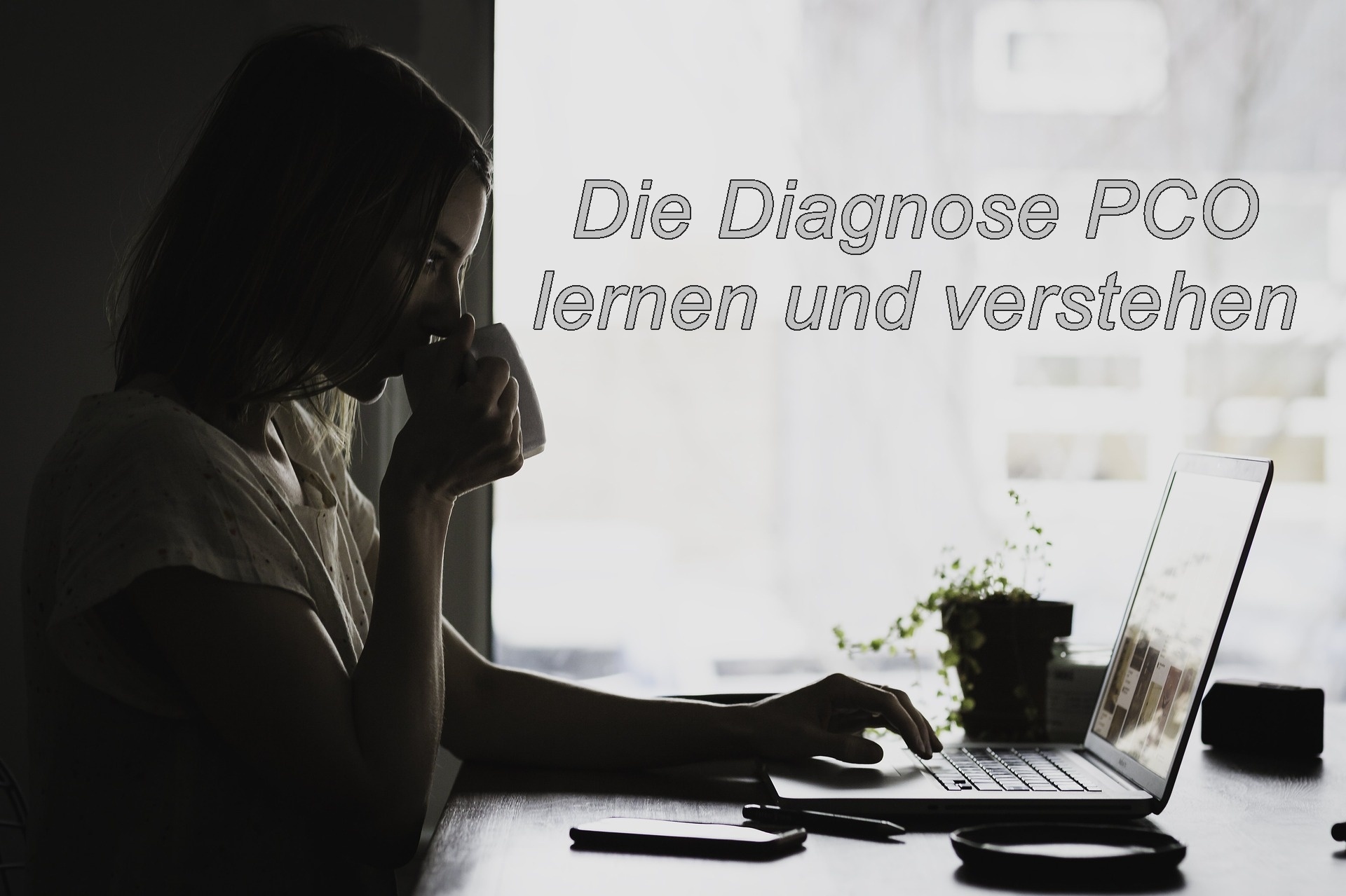 Die Diagnose PCO lernen und Verstehen.