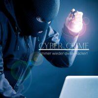 Immer wieder diese Hacker!
