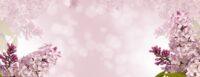 Design ohne Titel 9