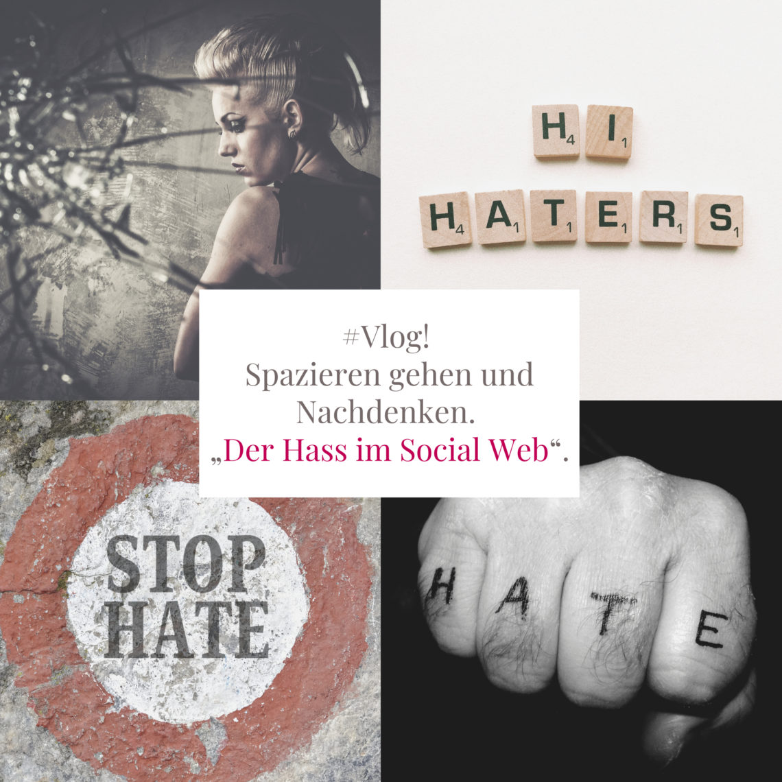 Der Hass im Social Web!