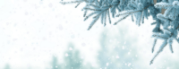 Ohne Titel 1300 x 500 px 2