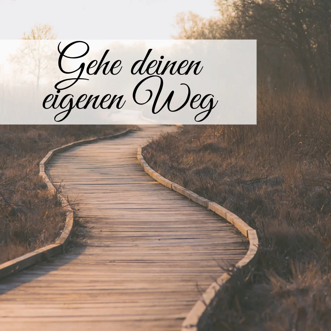 Gehe deinen eigenen Weg! 1 Gehe deinen eigenen Weg!