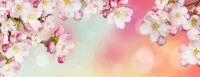 cropped Design ohne Titel 12