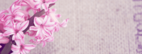 Design ohne Titel 53